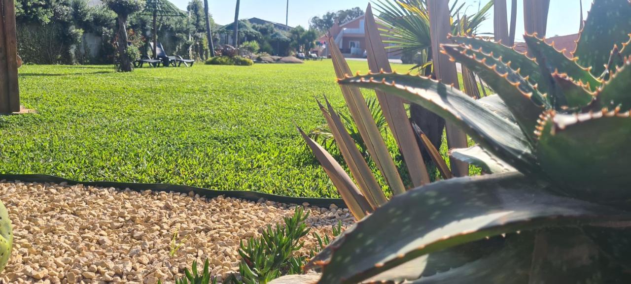 Villa Hollidays Dreams Póvoa de Varzim Esterno foto