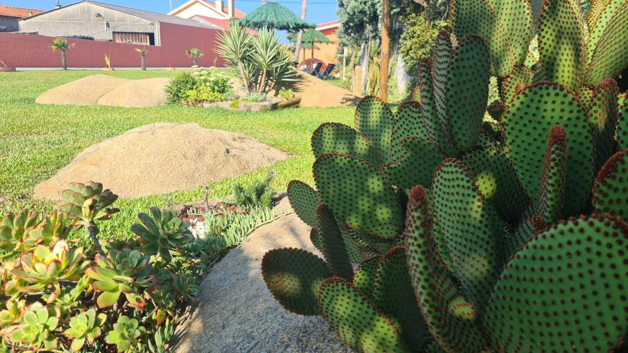 Villa Hollidays Dreams Póvoa de Varzim Esterno foto
