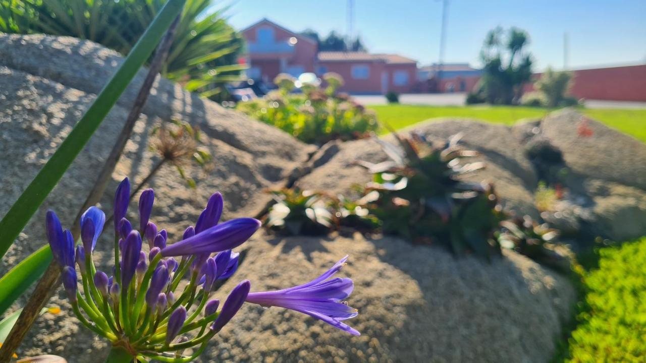 Villa Hollidays Dreams Póvoa de Varzim Esterno foto