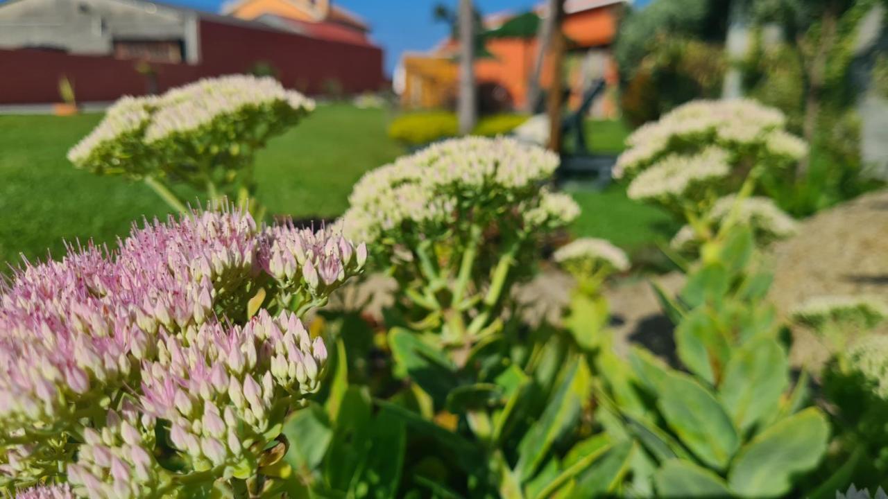 Villa Hollidays Dreams Póvoa de Varzim Esterno foto
