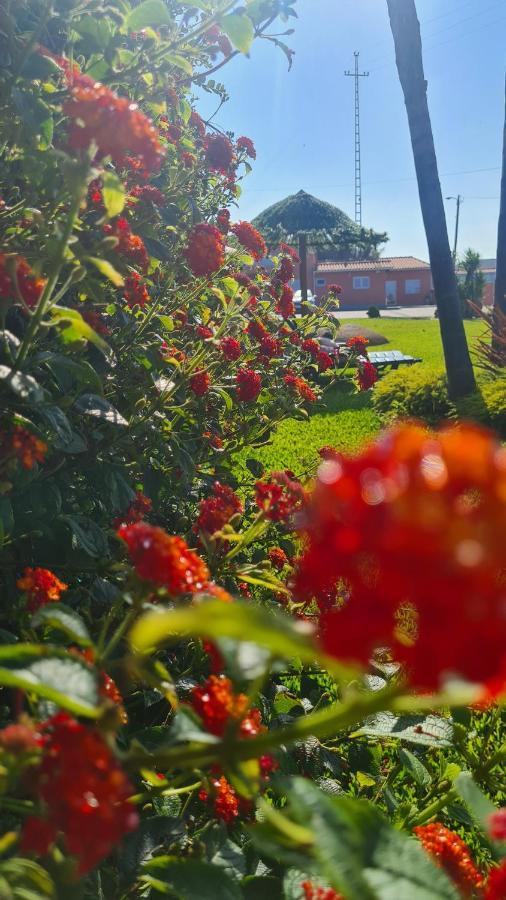 Villa Hollidays Dreams Póvoa de Varzim Esterno foto