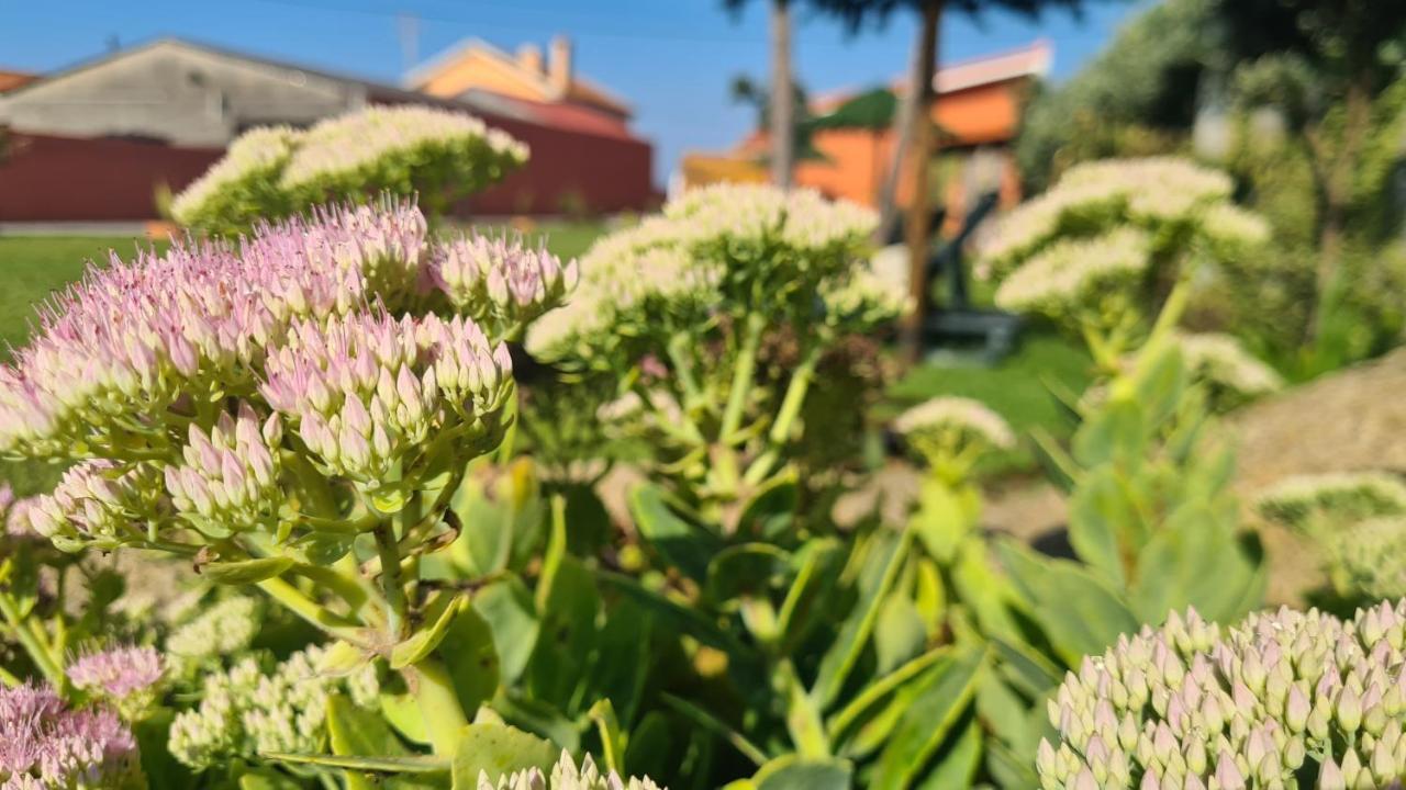 Villa Hollidays Dreams Póvoa de Varzim Esterno foto